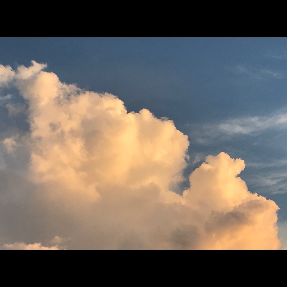 Meet your Posher, Richard